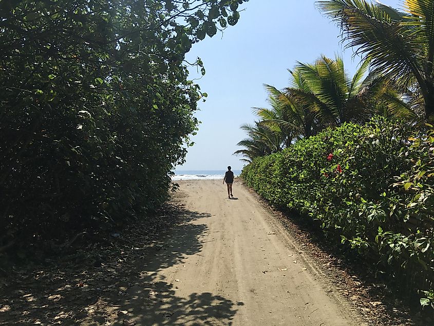 A woman walks down a dirt road to get to the beach on a sunny day