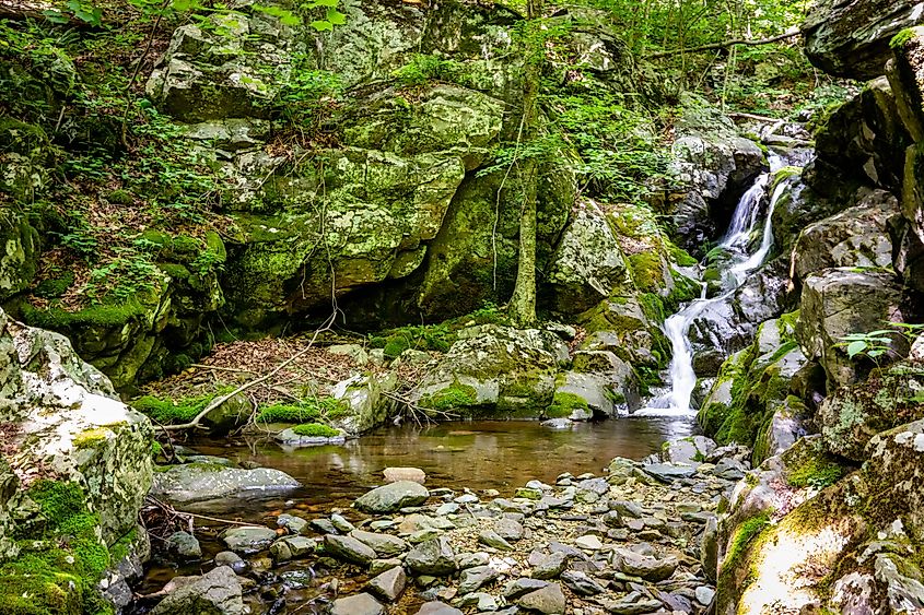 White Oak Canyon and Cedar Run trail loop waterfalls and cascades in Shenandoah National Park