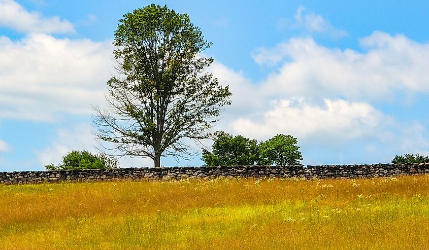 Brandywine Creek State Park stone walls.