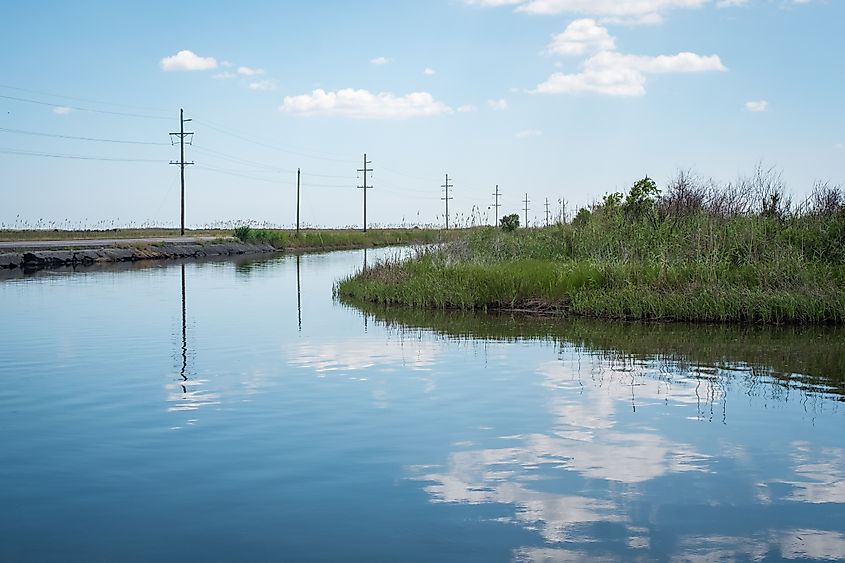 Driving through the Sabine National Wildlife Refuge in Louisiana.