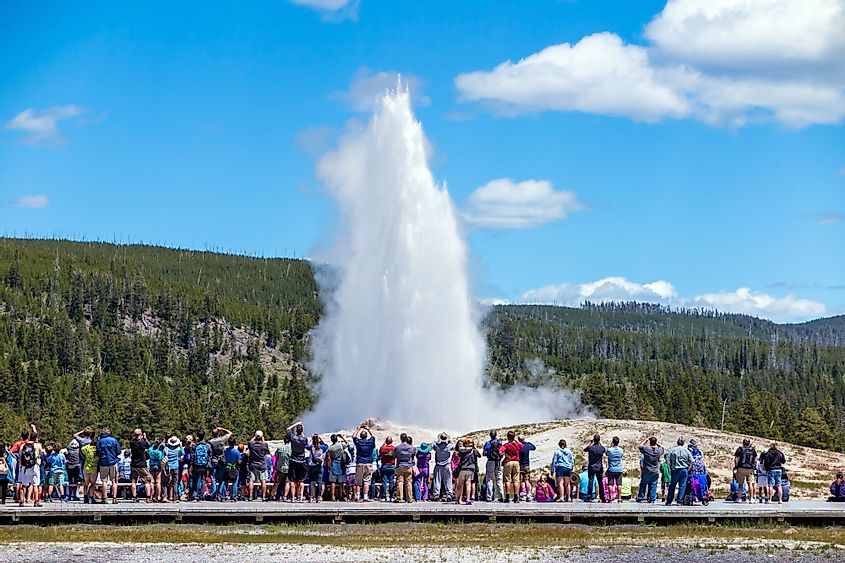 Tourists watching the Old Faithful erupting in Yellowstone National Park. 