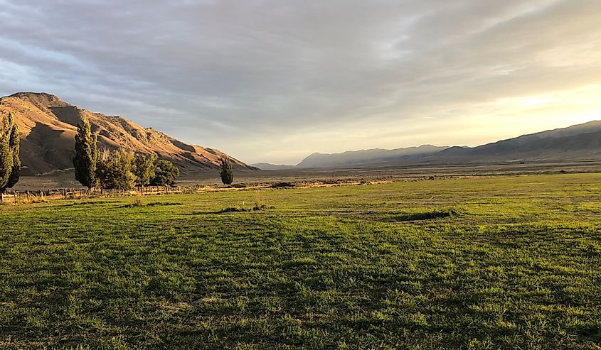 Northern Nevada pasture near Winnemucca at sunset