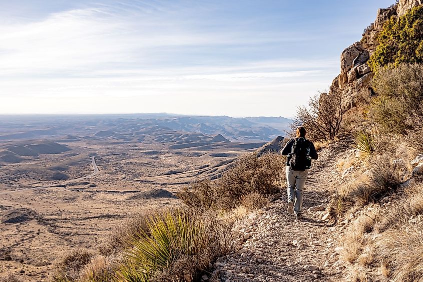 Woman hikes along shelf high above desert road below in Guadalupe Mountains National Park