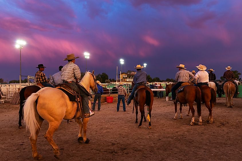 Cowboys on horseback in a rodeo at the Churchill County Fairgrounds in the city of Fallon, in the State of Nevada.