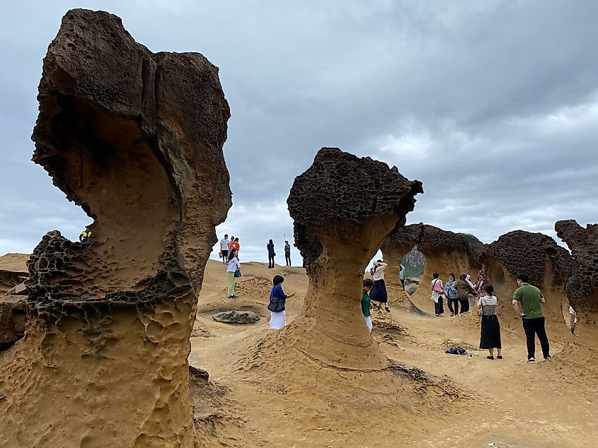 The intriguing rock pillars of Taiwan's Yehliu Geopark.