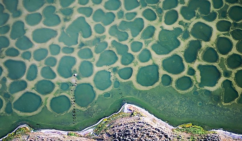 Aerial image of Spotted Lake, BC, Canada