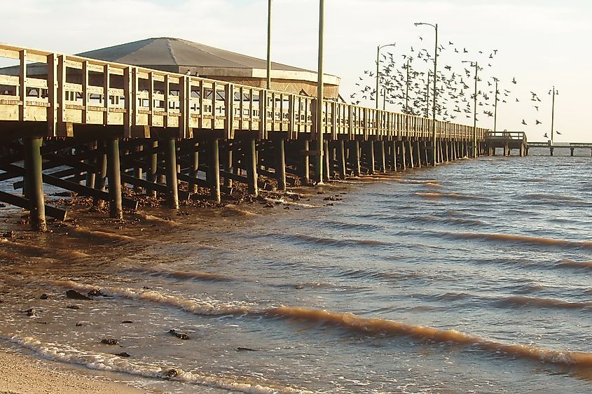 The pier at Palacios, Texas.