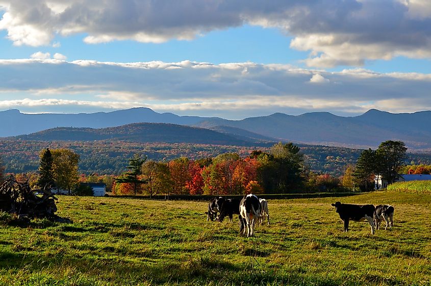 Scenic view in Shelburne, Vermont.