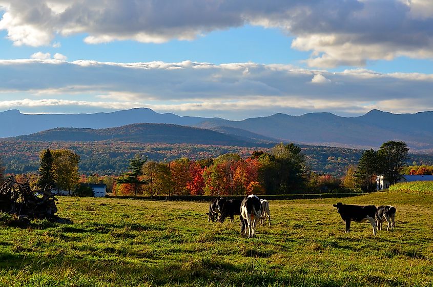 Scenic view in shelburne, Vermont