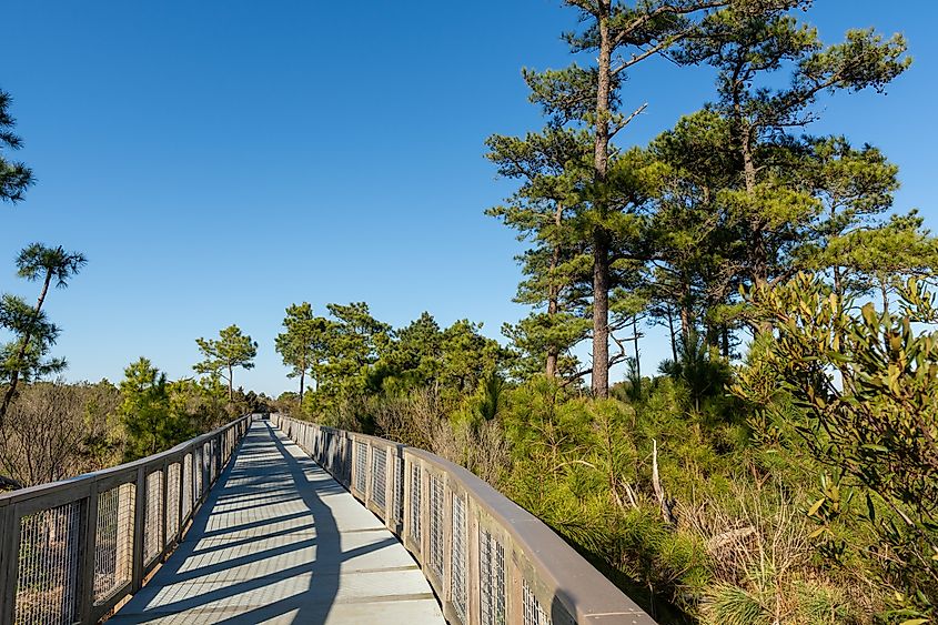 The Gordons Pond Trail in Cape Henlopen State Park, Lewes, Delaware.