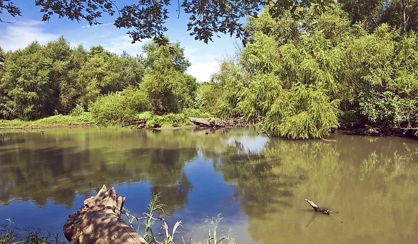 Wilderness surrounds an arm of Clinton Lake in Kansas