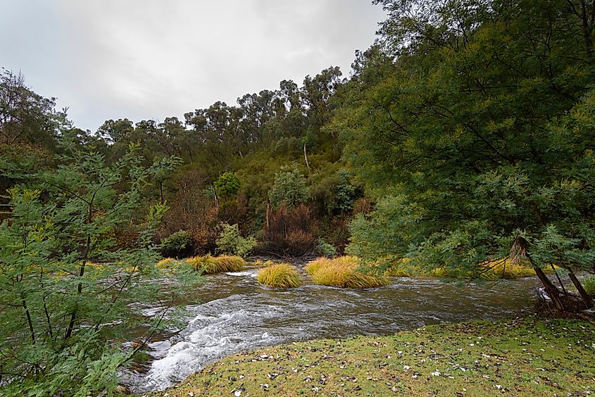 Serene nature at Jamieson in Victoria, Australia