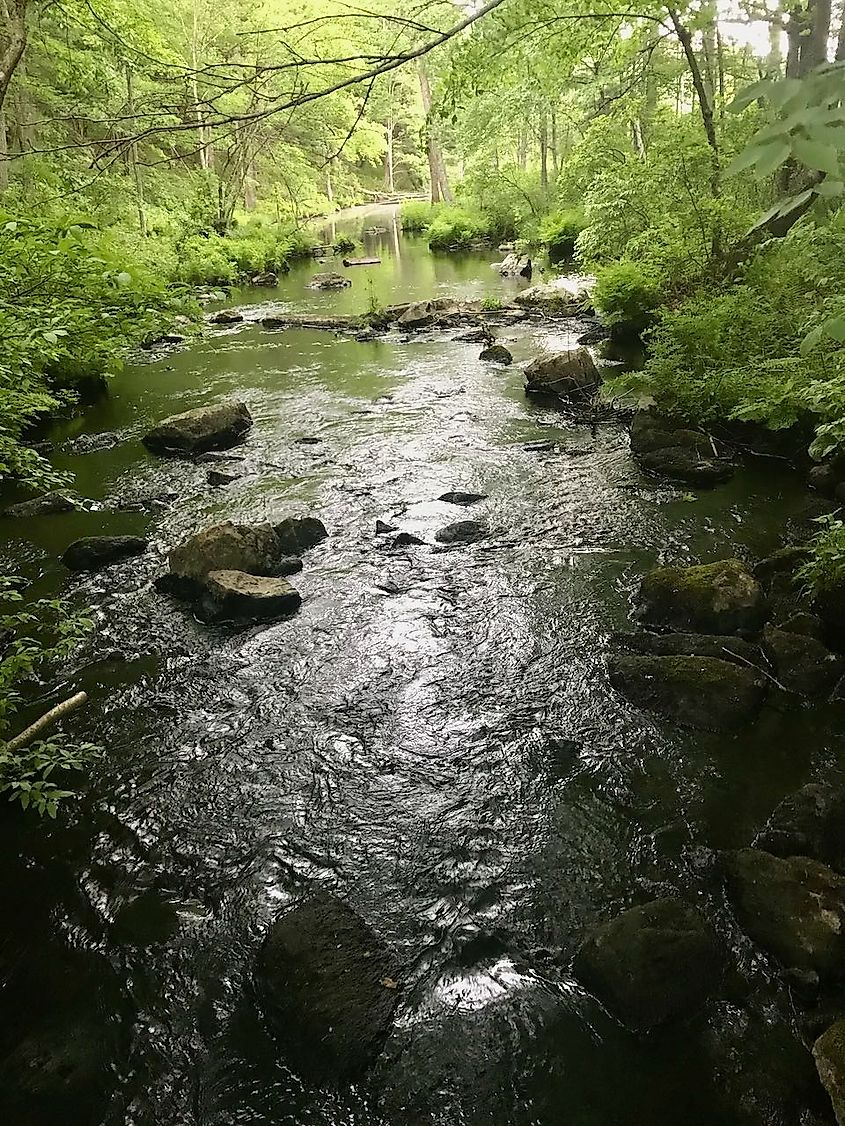 Meshomastic State Forest.