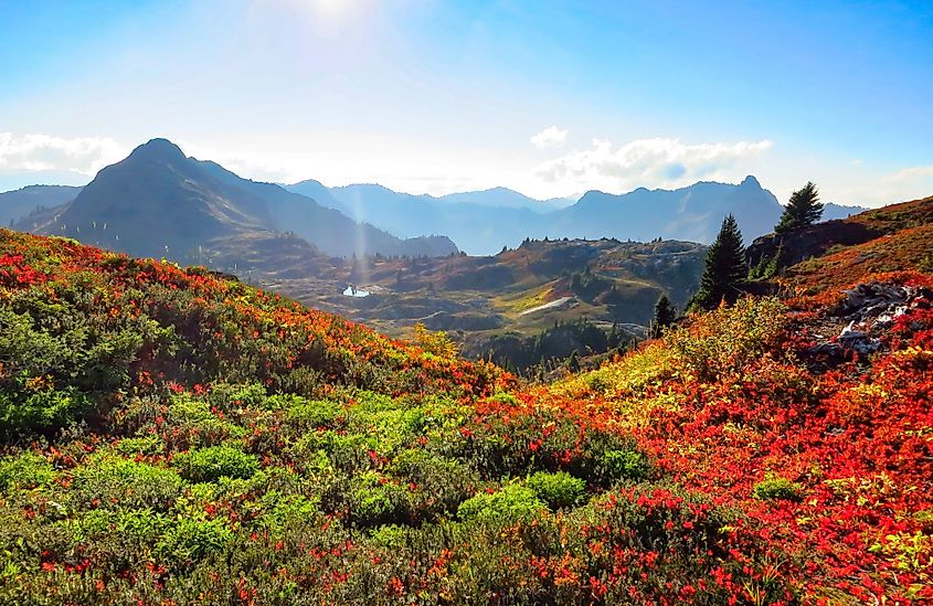 A view of the North Cascade Range in autumn