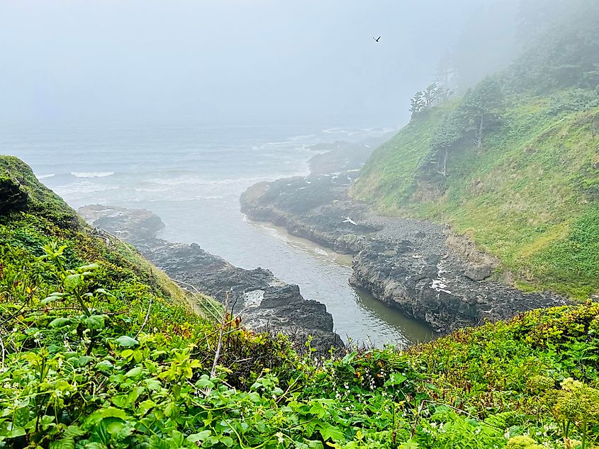 Devil's Churn Inlet in Oregon's Siuslaw National Forest.