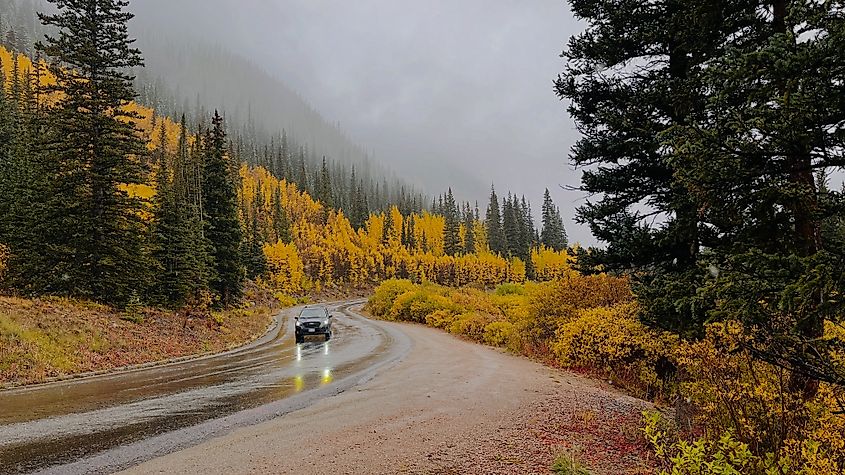 Beautiful fall color at Guanella Pass in Colorado after the rain.