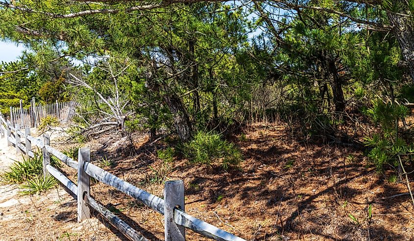 Trail along Rehoboth Beach, Delaware