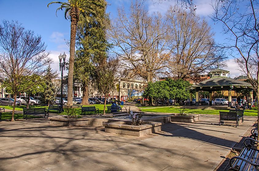 The Healdsburg Plaza at Healdsburg, California. Image credit: Wayne Hsieh via Wikimedia.com.