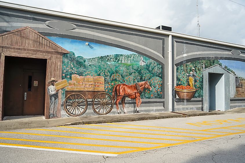 Lake Placid, FL USA - October 13, 2023: Lake Placid Town of Art Murals and Caladium Capital of the World.