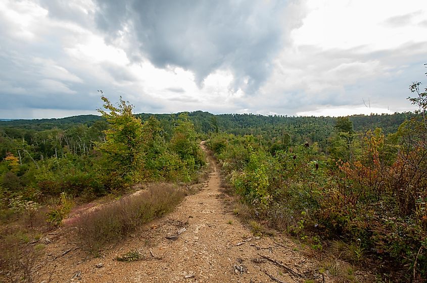 Knobstone Trail, Indiana.