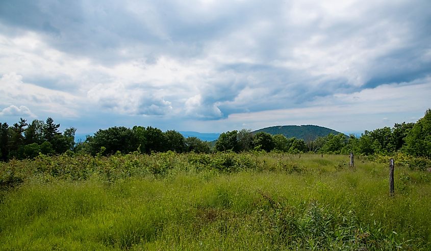 Trail in Pisgah National Forest