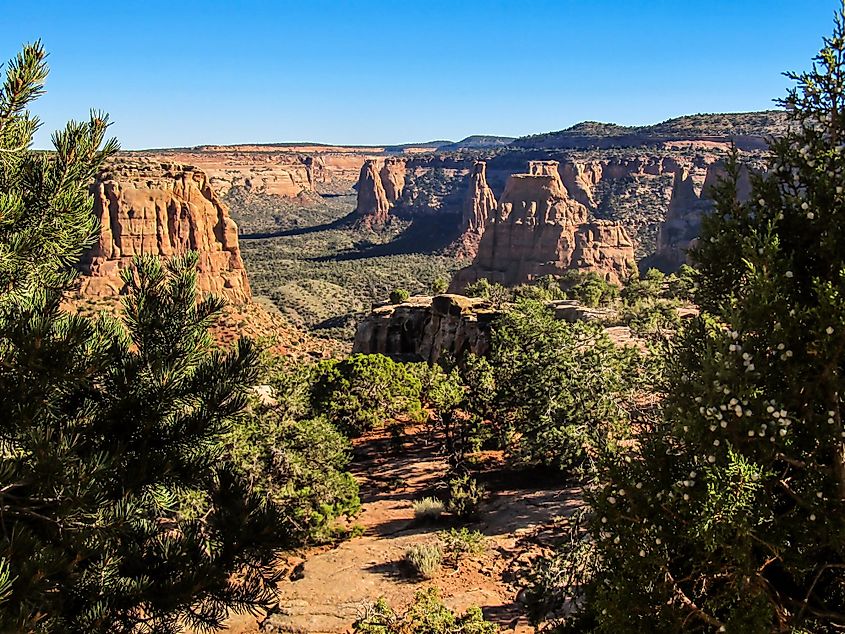 Colorado Plateau Shrublands