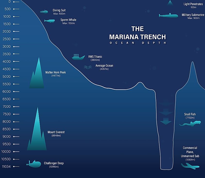 Mariana Trench sea illustration. 