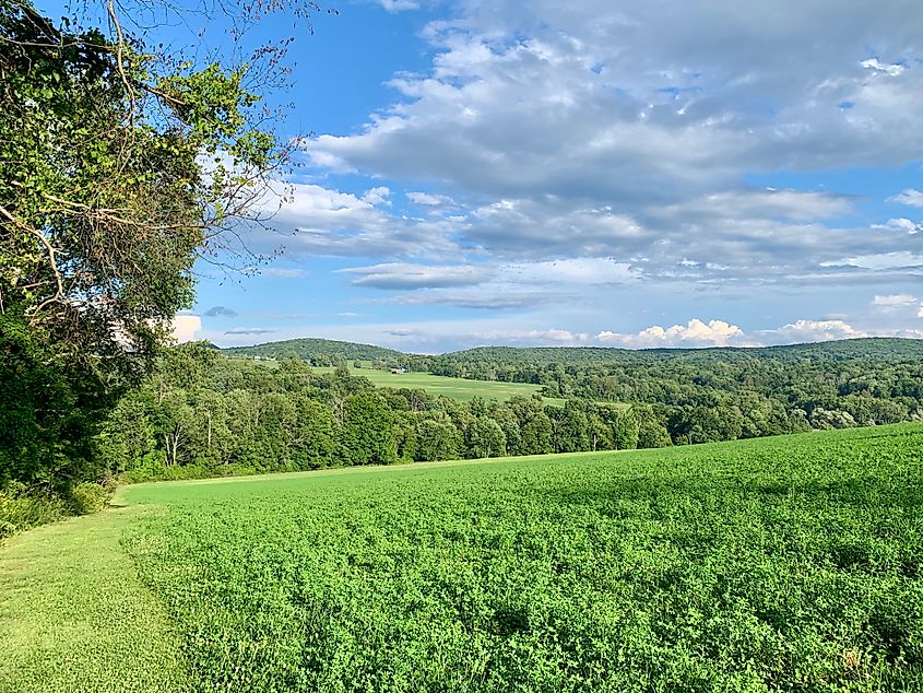 Twin Oaks Preserve in Sharon, Connecticut. 