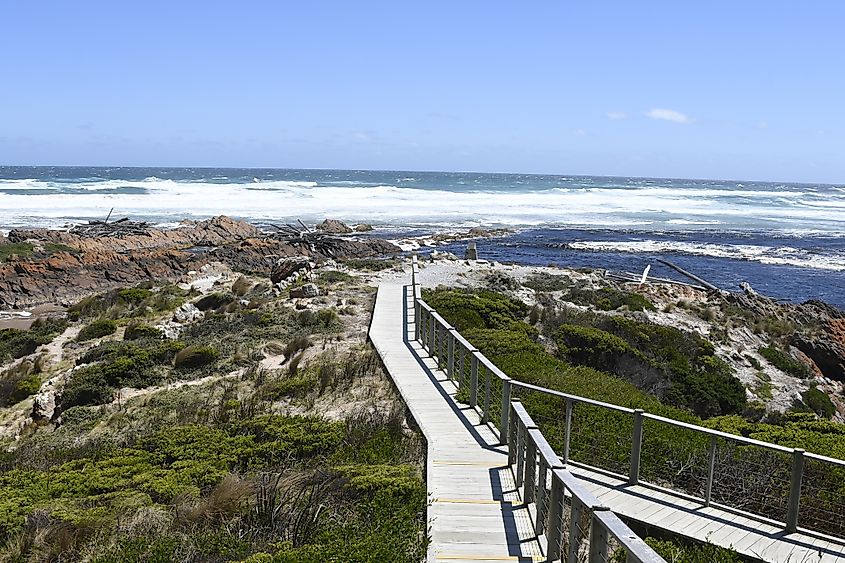 Beautiful nature view at The Edge of the World, Arthur River, Tasmania. 