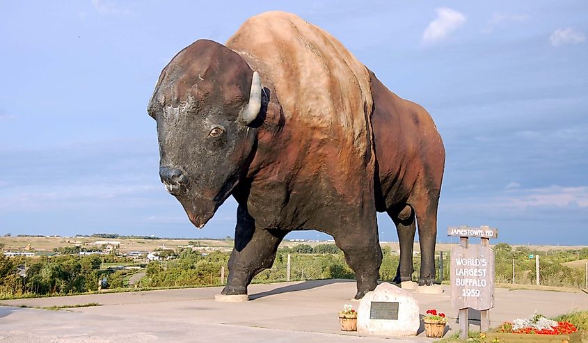 The World's Largest Buffalo, can be seen from I-94, and is nicknamed Dakota Thunder. It is located in Frontier Village in Jamestown, ND