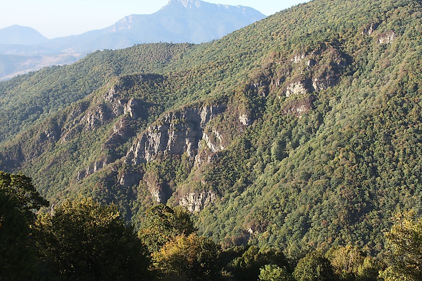 The Caspian Hyrcanian Mixed Forests ecoregion