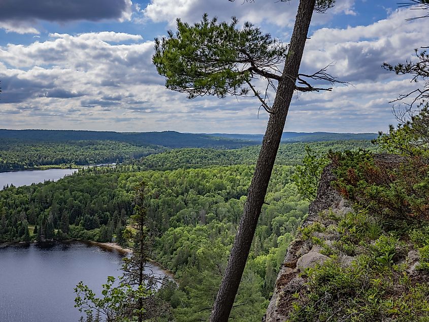 Atop Centenial Ridge in Algonquin Provincial Park. Photo credit: Brendan Cane