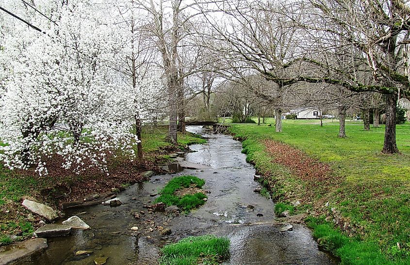 Salt Lick Creek in Red Boiling Springs, Tennessee.