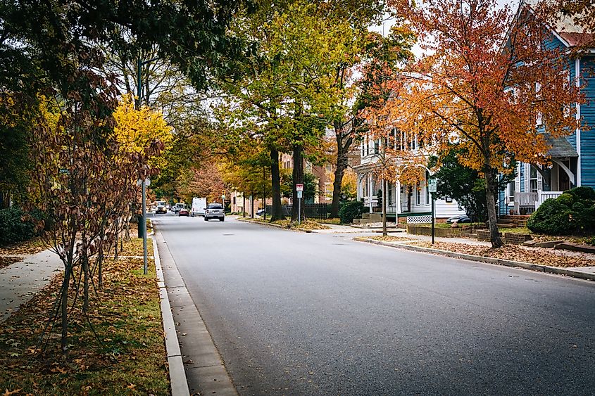 Autumn color and houses along Goldsborough Street, in Easton, Maryland