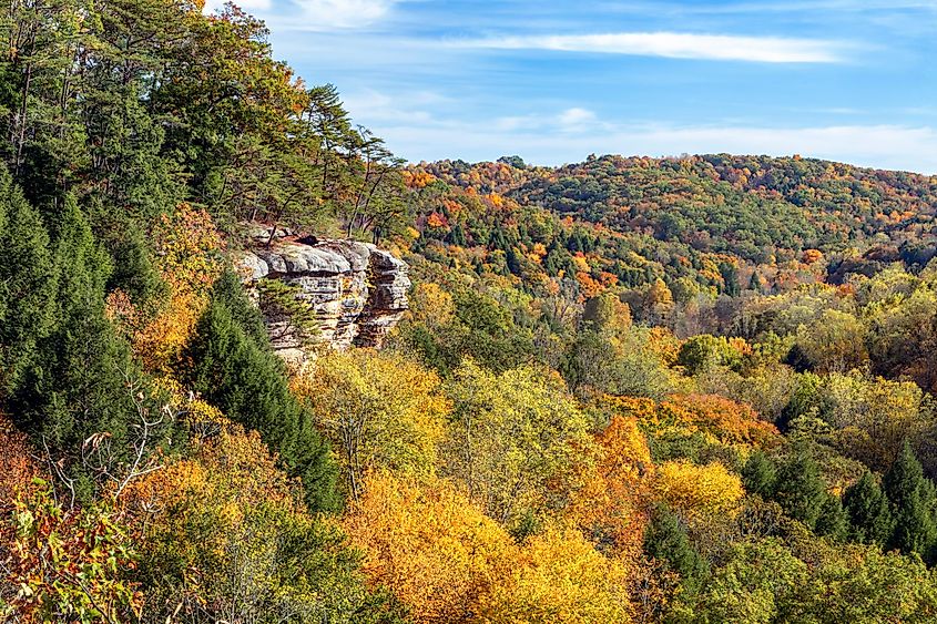 Trees and rock walls of Conkle’s Hollow, Ohio