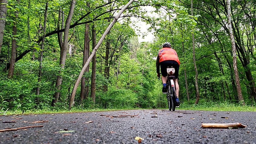 A biker on the Western Maryland Rail Trail.