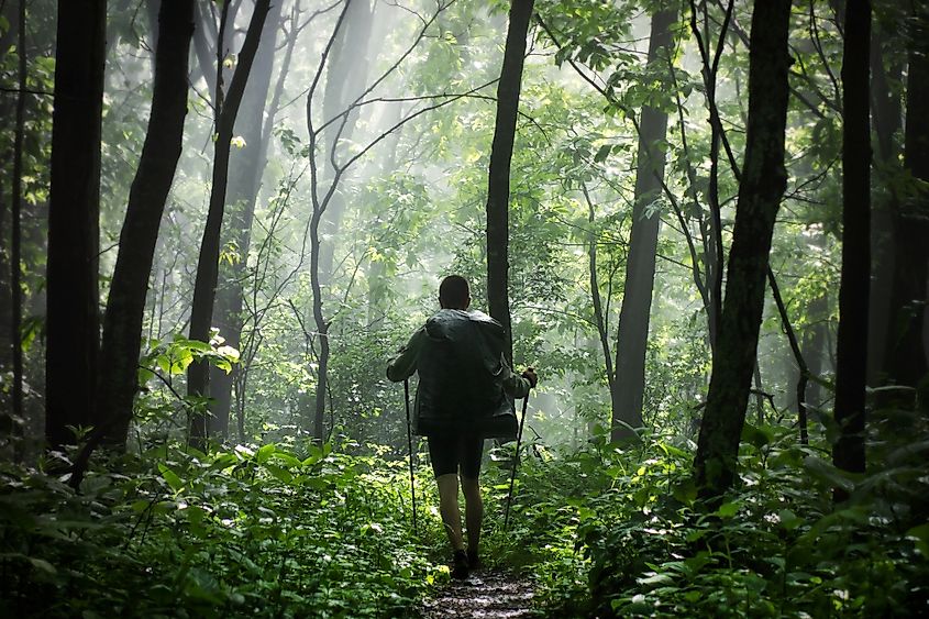 Appalachian trail