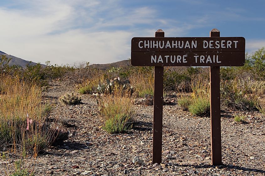 Chihuahuan Desert Nature Trail, Big Bend National Park, Texas