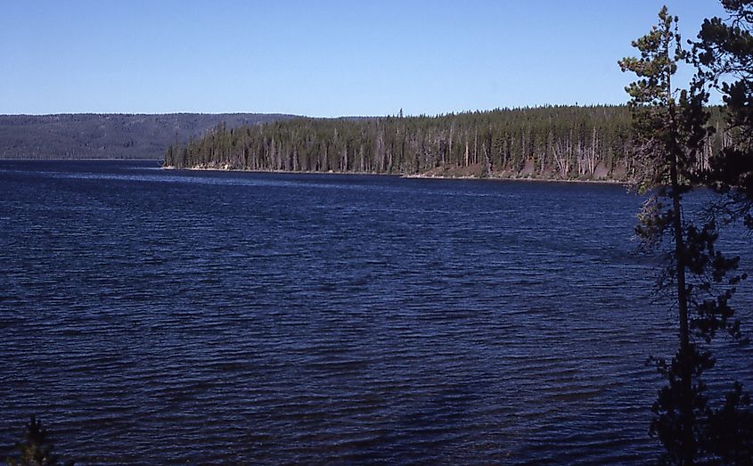 Shoshone Lake in 1988.