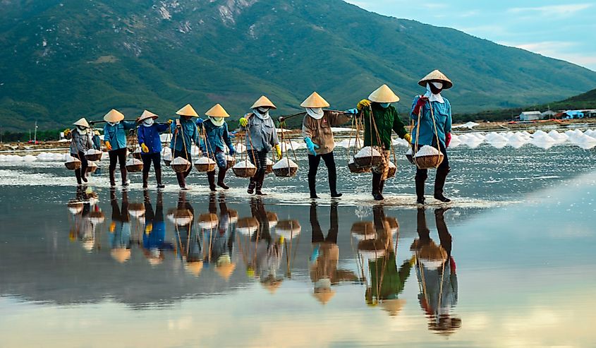 Women carry salt from salt farm to factory, NhaTrang, Vietnam