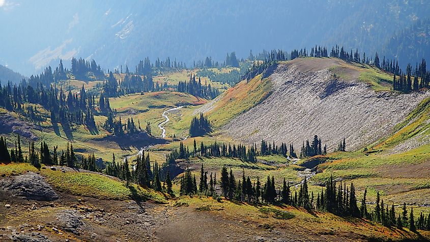 Mount Rainier Mountain Landscapes on the Wonderland Trail near Seattle, USA.