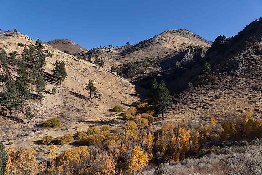 Fall colors along Hunter Creek Trail