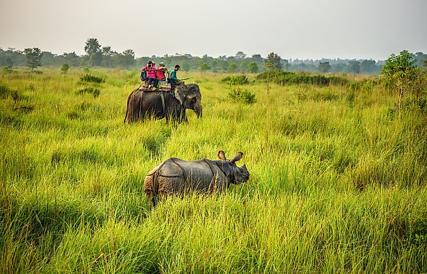 Chitwan National Park