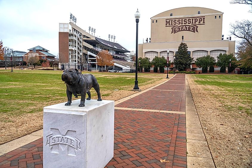  statue of the school's mascot "Bully" sits at the Junction outside of Davis-Wade Stadium on the campus of Mississippi State University.
