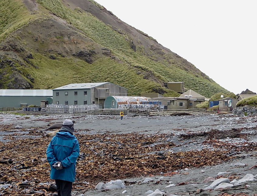 Macquarie Island