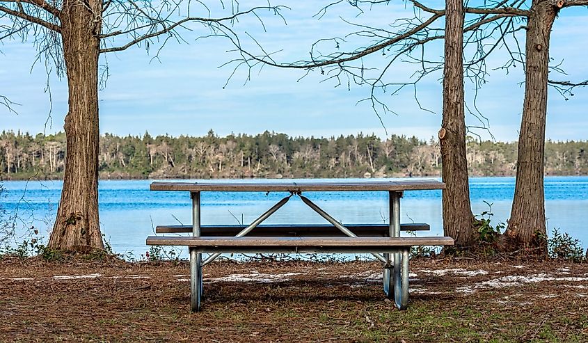 Picnic table in Jones Lake State Park, North Carolina, United States.