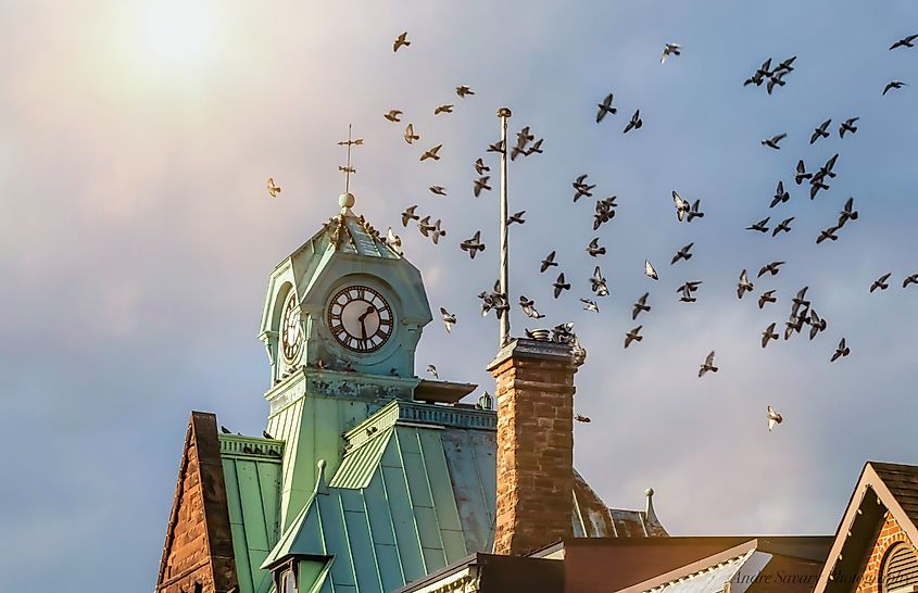 Clock tower in Almonte, Ontario, which is about 40 minutes away from Perth.