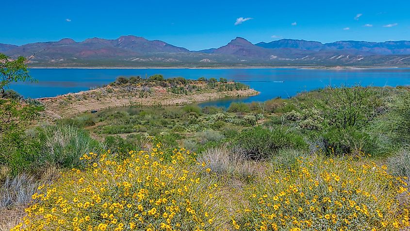 Theodore roosevelt lake