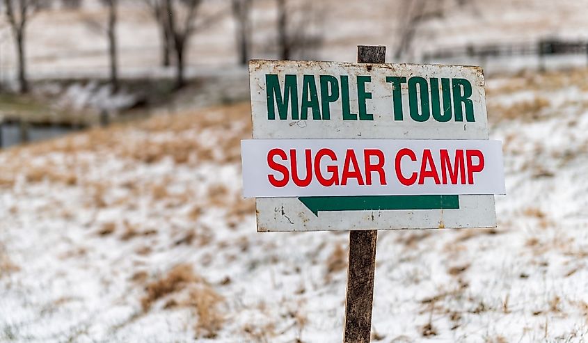 Maple tour sugar camp direction sign in Monterey, Virginia at maple syrup farm during Highland county festival in cold winter.