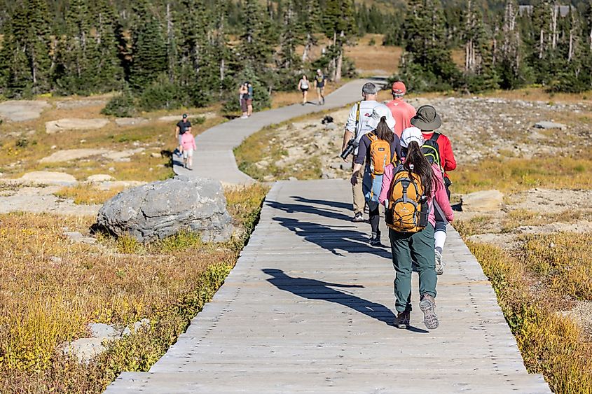 Hikers on the popular trail for Hidden Lake on top of Logan Pass in Glacier National Park, Montana